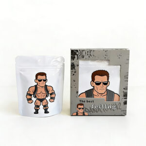 图片修改与生成 (2)